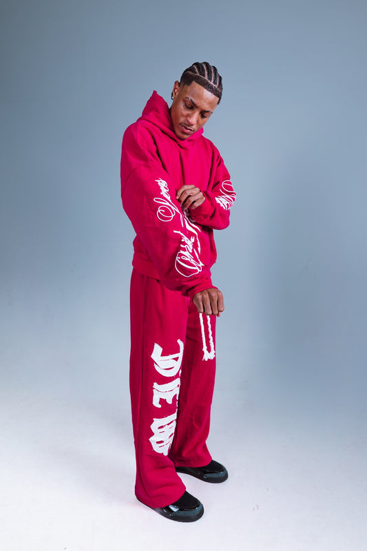 "MOVING IN CHRIST" Hoodie - PINK