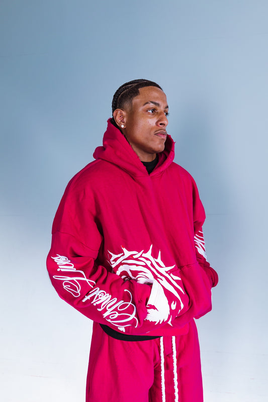 "MOVING IN CHRIST" Hoodie - PINK